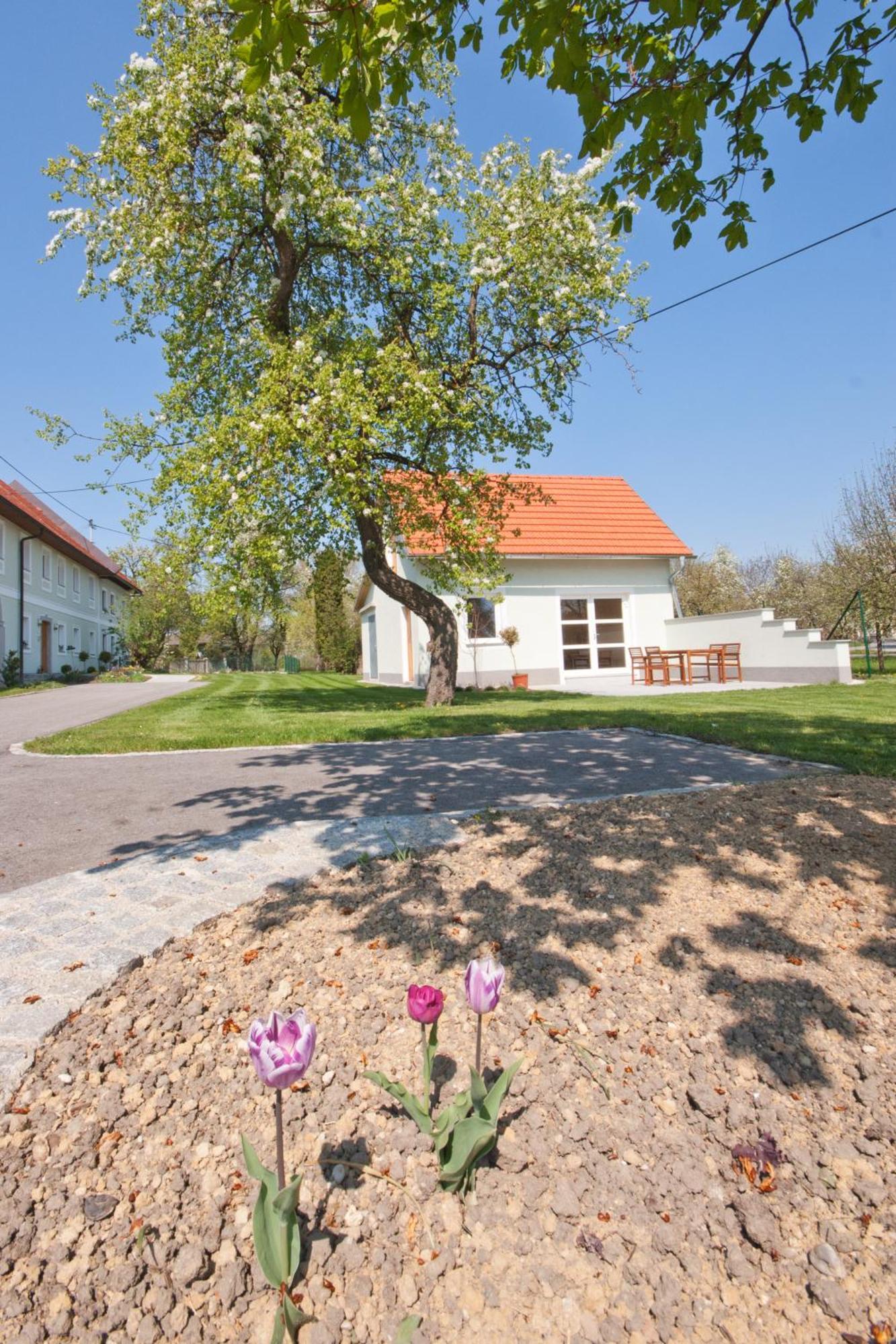 Landhaus Essl Dietach Buitenkant foto