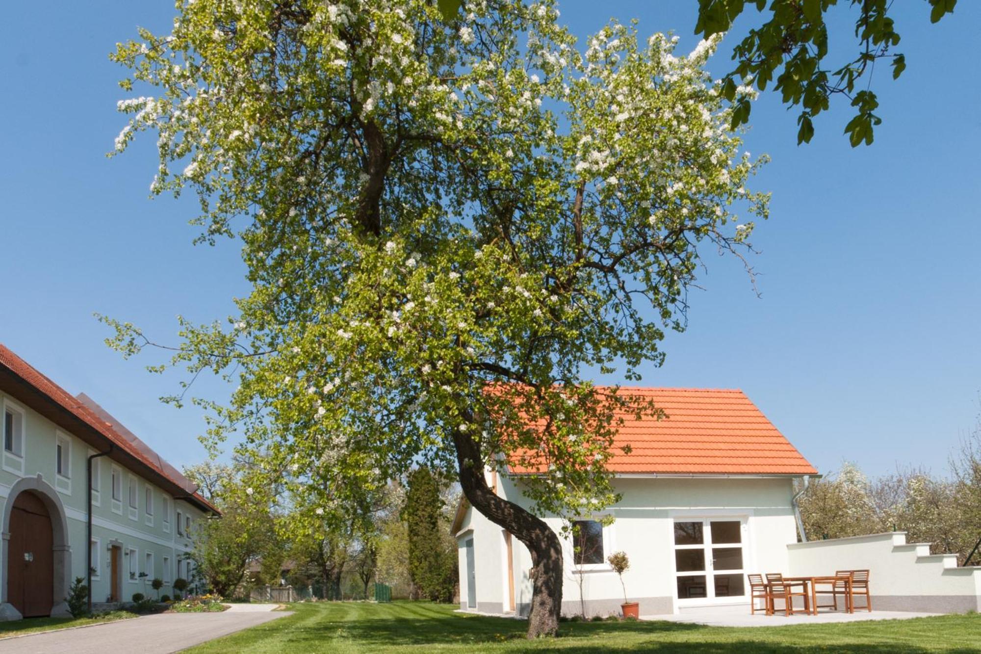 Landhaus Essl Dietach Buitenkant foto